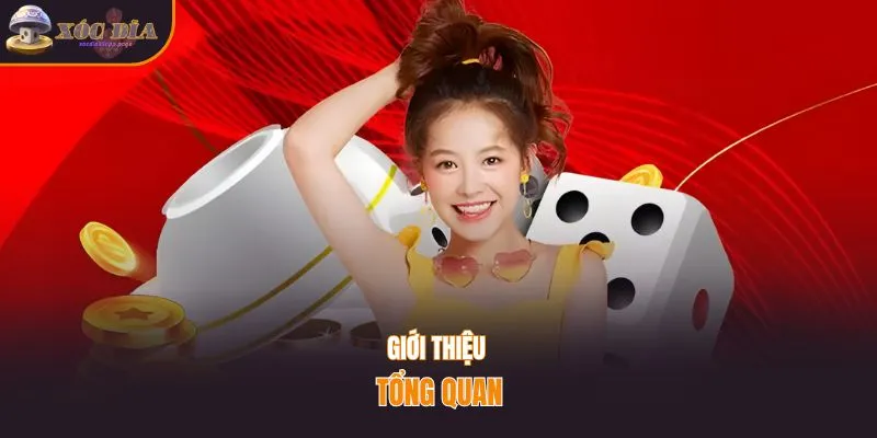 Giới thiệu tổng quan tool xóc đĩa